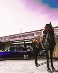 a horse is standing in front of a building